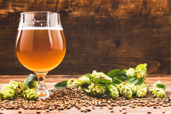 From Hops to Cans: A Guide to the Brewing Process of Beer